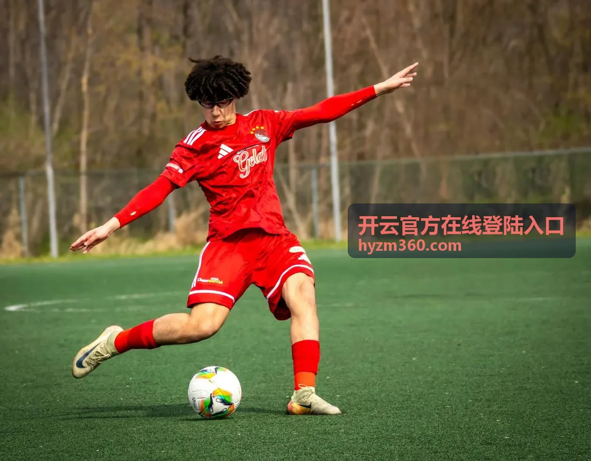 开云官方在线登陆入口接入配置手册
